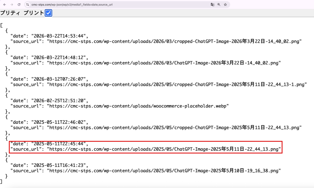 ctpsystem-ChatGPTの名前が残るロゴ画像の登録記録