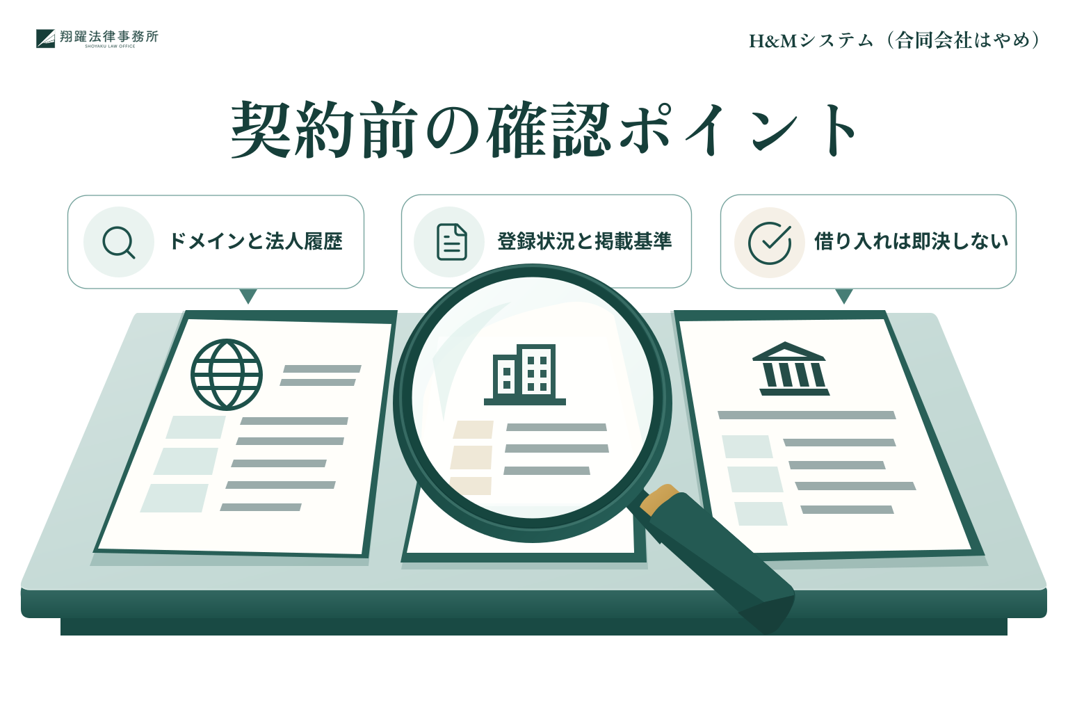 H&Mシステムの契約前にドメイン、法人履歴、登録状況などを確認する方法を示すイラスト